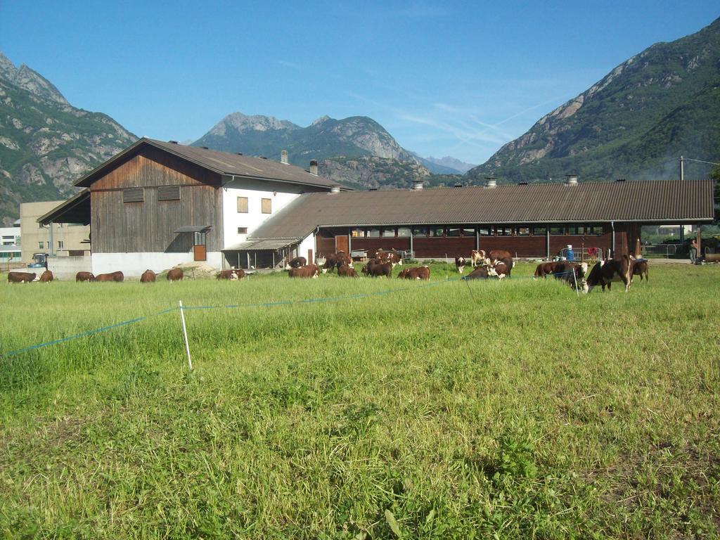 Agriturismo La Grange Pont-Saint-Martin Dış mekan fotoğraf