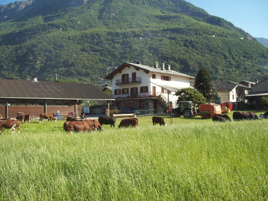 Agriturismo La Grange Pont-Saint-Martin Dış mekan fotoğraf