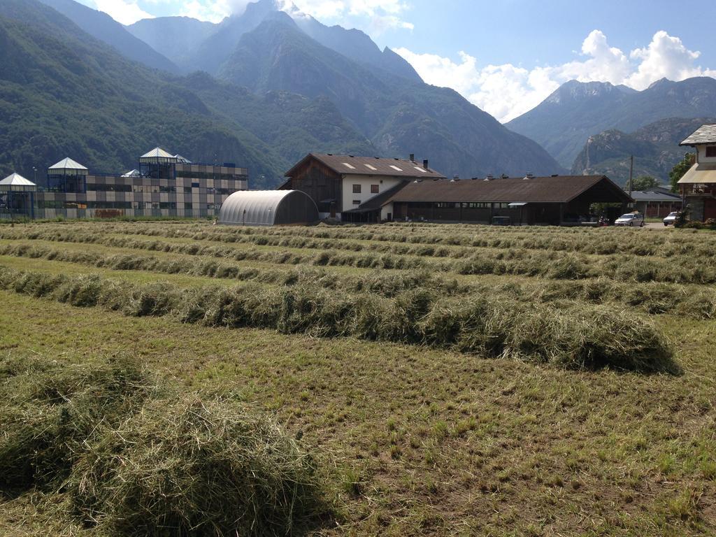 Agriturismo La Grange Pont-Saint-Martin Dış mekan fotoğraf