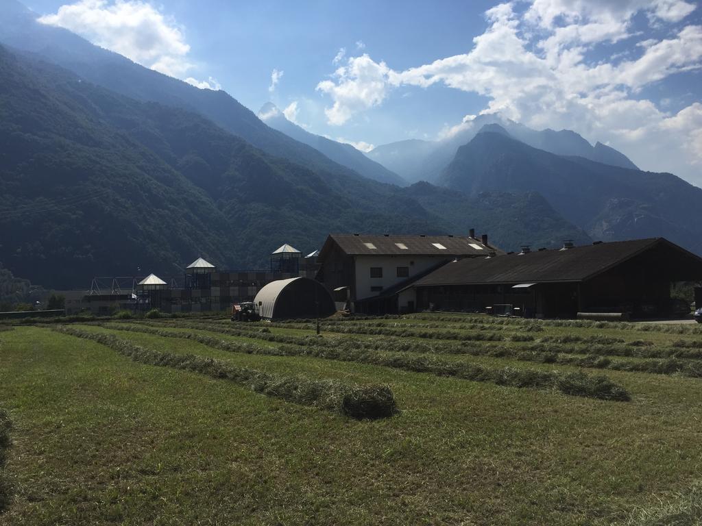 Agriturismo La Grange Pont-Saint-Martin Dış mekan fotoğraf